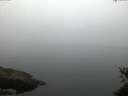 ./images/koeye/fitz-hugh/20150601/fitz-hugh20150601_050302.jpg
