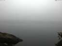 ./images/koeye/fitz-hugh/20150601/fitz-hugh20150601_053301.jpg