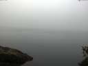 ./images/koeye/fitz-hugh/20150601/fitz-hugh20150601_063302.jpg