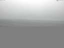 ./images/koeye/fitz-hugh/20150601/fitz-hugh20150601_093302.jpg