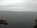 ./images/koeye/fitz-hugh/20150601/fitz-hugh20150601_110302.jpg