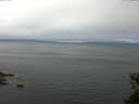 ./images/koeye/fitz-hugh/20150601/fitz-hugh20150601_121505.jpg