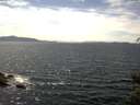 ./images/koeye/fitz-hugh/20150601/fitz-hugh20150601_150302.jpg