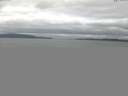 ./images/koeye/fitz-hugh/20150602/fitz-hugh20150602_060301.jpg