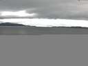 ./images/koeye/fitz-hugh/20150602/fitz-hugh20150602_183303.jpg