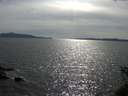 ./images/koeye/fitz-hugh/20150604/fitz-hugh20150604_170302.jpg