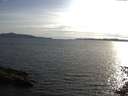 ./images/koeye/fitz-hugh/20150604/fitz-hugh20150604_190302.jpg