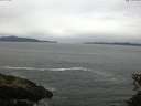 ./images/koeye/fitz-hugh/20150605/fitz-hugh20150605_100302.jpg