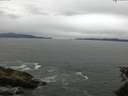 ./images/koeye/fitz-hugh/20150605/fitz-hugh20150605_121803.jpg