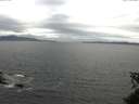 ./images/koeye/fitz-hugh/20150605/fitz-hugh20150605_150301.jpg