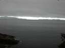 ./images/koeye/fitz-hugh/20150606/fitz-hugh20150606_080301.jpg