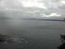 ./images/koeye/fitz-hugh/20150608/fitz-hugh20150608_080303.jpg
