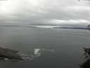 ./images/koeye/fitz-hugh/20150608/fitz-hugh20150608_083303.jpg