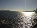 ./images/koeye/fitz-hugh/20150608/fitz-hugh20150608_173303.jpg