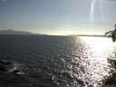 ./images/koeye/fitz-hugh/20150609/fitz-hugh20150609_180303.jpg