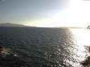 ./images/koeye/fitz-hugh/20150609/fitz-hugh20150609_183302.jpg
