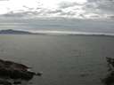 ./images/koeye/fitz-hugh/20150610/fitz-hugh20150610_153302.jpg