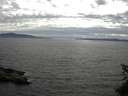 ./images/koeye/fitz-hugh/20150610/fitz-hugh20150610_173302.jpg