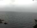 ./images/koeye/fitz-hugh/20150611/fitz-hugh20150611_100301.jpg
