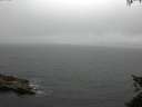 ./images/koeye/fitz-hugh/20150611/fitz-hugh20150611_113302.jpg