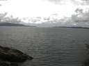 ./images/koeye/fitz-hugh/20150611/fitz-hugh20150611_160004.jpg