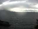 ./images/koeye/fitz-hugh/20150611/fitz-hugh20150611_173303.jpg