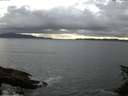 ./images/koeye/fitz-hugh/20150612/fitz-hugh20150612_053303.jpg