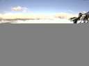 ./images/koeye/fitz-hugh/20150612/fitz-hugh20150612_073302.jpg