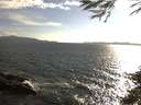 ./images/koeye/fitz-hugh/20150612/fitz-hugh20150612_183303.jpg