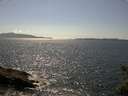 ./images/koeye/fitz-hugh/20150613/fitz-hugh20150613_160004.jpg