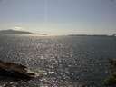 ./images/koeye/fitz-hugh/20150613/fitz-hugh20150613_160302.jpg