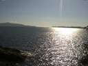 ./images/koeye/fitz-hugh/20150613/fitz-hugh20150613_173303.jpg