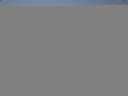 ./images/koeye/fitz-hugh/20150614/fitz-hugh20150614_160003.jpg