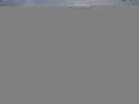 ./images/koeye/fitz-hugh/20150615/fitz-hugh20150615_073302.jpg