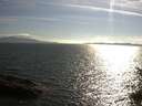 ./images/koeye/fitz-hugh/20150615/fitz-hugh20150615_180004.jpg