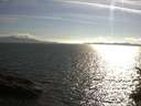 ./images/koeye/fitz-hugh/20150615/fitz-hugh20150615_180303.jpg