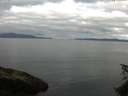 ./images/koeye/fitz-hugh/20150616/fitz-hugh20150616_073303.jpg
