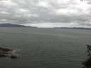 ./images/koeye/fitz-hugh/20150616/fitz-hugh20150616_121505.jpg
