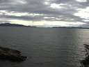 ./images/koeye/fitz-hugh/20150617/fitz-hugh20150617_190303.jpg