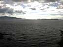 ./images/koeye/fitz-hugh/20150618/fitz-hugh20150618_170302.jpg