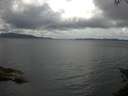 ./images/koeye/fitz-hugh/20150619/fitz-hugh20150619_140302.jpg