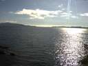 ./images/koeye/fitz-hugh/20150620/fitz-hugh20150620_180004.jpg