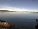 ./images/koeye/fitz-hugh/20150621/fitz-hugh20150621_110303.jpg