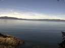 ./images/koeye/fitz-hugh/20150621/fitz-hugh20150621_113302.jpg