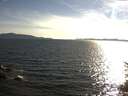 ./images/koeye/fitz-hugh/20150621/fitz-hugh20150621_183301.jpg