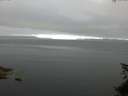 ./images/koeye/fitz-hugh/20150622/fitz-hugh20150622_060302.jpg