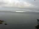 ./images/koeye/fitz-hugh/20150622/fitz-hugh20150622_063302.jpg