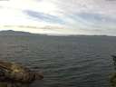 ./images/koeye/fitz-hugh/20150622/fitz-hugh20150622_121505.jpg