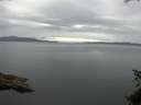 ./images/koeye/fitz-hugh/20150624/fitz-hugh20150624_090302.jpg