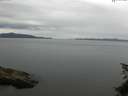./images/koeye/fitz-hugh/20150624/fitz-hugh20150624_110301.jpg